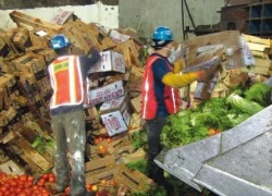 Canada lãng phí lượng thực phẩm lên tới 31 tỷ USD mỗi năm