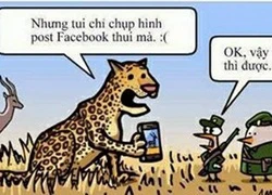 Công dụng của Facebook