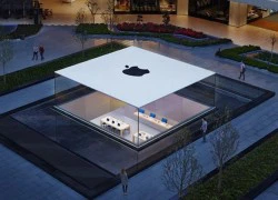 Cửa hàng Apple Store giật giải kiến trúc của năm