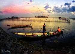 Cuộc sống bình yên ở đầm Chuồn