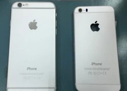 Độ vỏ iPhone 5S giống iPhone 6 giá 1,7 triệu ở Hà Nội