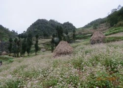 Hà Giang - Người tình say đắm nhất