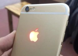 iPhone 6 có thêm bản độ logo táo đỏ tại Việt Nam