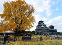 Kumamoto - lâu đài vĩ đại bậc nhất Nhật Bản