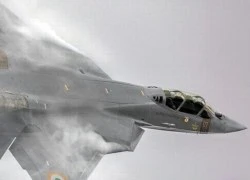 Lộ nguyên mẫu tiêm kích tàng hình FGFA của Ấn Độ