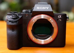 Máy ảnh Sony Alpha A7 II về Việt Nam