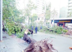 Một đêm, hai người bất thình lình chết... oan