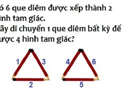 Những câu đố hại não (phần 5)