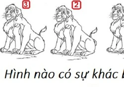 Những câu đố hại não (phần 9)