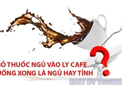 Những câu hỏi khó đỡ (phần 2)