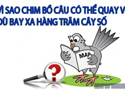 Những câu hỏi khó đỡ (phần 9)