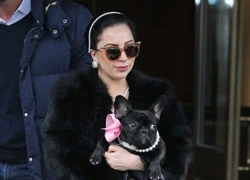 Lady Gaga đeo trang sức và mặc đồ điệu đà cho chó cưng