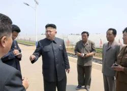 Ông Kim Jong Un cấm quan chức hút thuốc lá ngoại