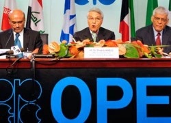 OPEC giảm giá dầu là để dìm Mỹ hay dìm Nga?