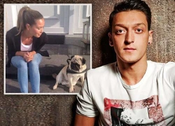 Ozil chăm sóc cún cưng giúp bạn gái cũ