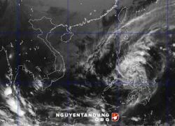 Siêu bão Hagupit: Sẽ đổ bộ vào khu vực nào của nước ta?