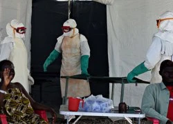 Số người nhiễm Ebola ở Tây Phi tăng trên 19.000