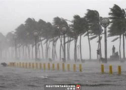 Tin mới nhất về hướng di chuyển của siêu bão Hagupit