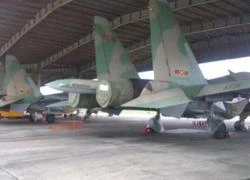 Trung Quốc dồn dập đong đếm Việt Nam nhận Su-30MK2