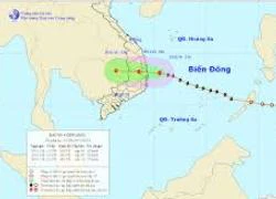 Vùng biển các tỉnh từ Bình Định - Bình Thuận có gió giật cấp 9 - 10