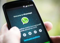 WhatsApp có thể trở thành trình duyệt web