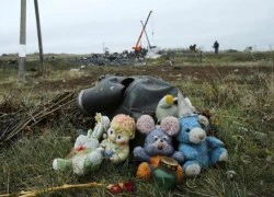 6 tháng sau sự kiện MH17 và nỗi đau người ở lại