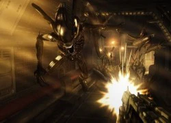 Aliens vs. Predator và Colonial Marines bị gỡ bỏ trên Steam