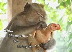 Bói yêu thế này mới đã&#8230;