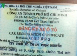 Cảnh giác với giấy đăng kiểm phương tiện cơ giới đường bộ giả