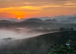 Cao nguyên Mộc Châu huyền ảo trong sương sớm