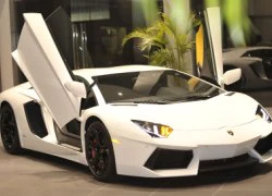 Cặp đôi siêu xe Lamborghini chính hãng có giá hơn 40 tỷ đồng