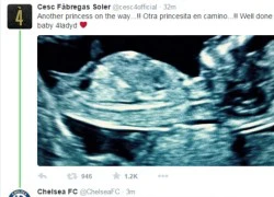 Chelsea chúc mừng Fabregas lên chức