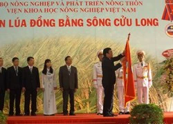 ĐBSCL cần quan tâm công tác đào tạo nhân lực