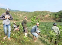 Đi săn rùa bất thành, hàng chục người dân tự giải tán