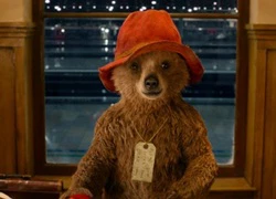 'Gấu Paddington' - Món quà đầu năm mới cho cả gia đình