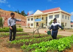 Giáo viên vùng cao 'nghe Tết mà... tủi'