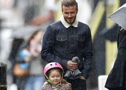 Harper "chê" bố Beckham quá... béo