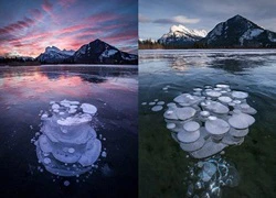 Hiện tượng lạ: Đàn 'sứa' băng ở Canada