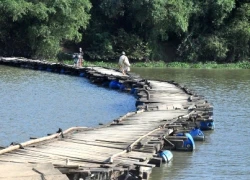 Hơn 10 năm "liêu xiêu" qua sông