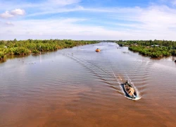 Khu rừng gợi nhớ phim 'Đất phương Nam'