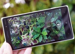 Lumia 830 giảm giá gần một triệu đồng