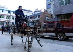 Một người TQ phục dựng &#8220;bảo bối&#8221; của Gia Cát Lượng