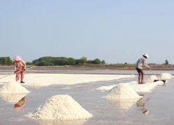 Mưa trái mùa diêm dân... mất Tết !