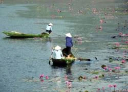 &#8220;Nghề&#8221; làm dâu không có&#8230; &#8220;nghỉ hưu&#8221;