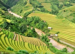 Những điểm dừng chân trên cung đường vàng Tây Bắc