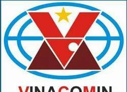 Phương án cổ phần hóa Cty mẹ - TCty Điện lực - Vinacomin