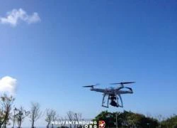 Quân đội Mỹ muốn phát triển UAV &#8220;Côn trùng&#8221; bay trong không gian hẹp