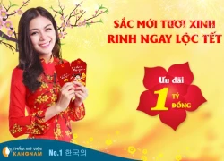 Sắc mới tươi xinh ngày Tết