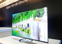 Sharp giới thiệu TV có độ phân giải cao hơn 4K tại CES 2015