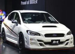 Subaru WRX S4 Prova chính thức lộ diện